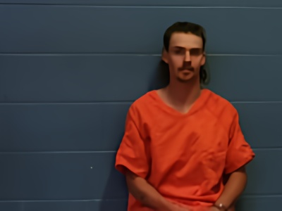 Mugshot of GAVIN N MCNEIL