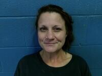 Mugshot of ERIKA M HANNAH