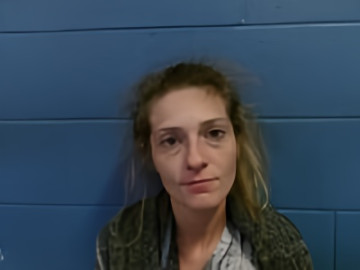 Mugshot of COURTNEY N DICKENS