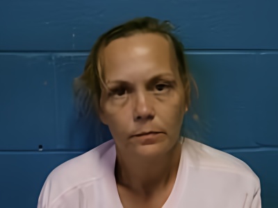 Mugshot of NATOSHA L HARPER
