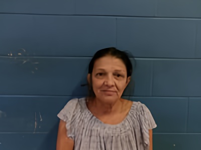 Mugshot of DANA J HARMS