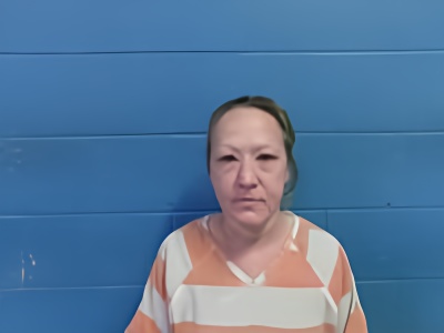Mugshot of JOLYNDA S ELROD