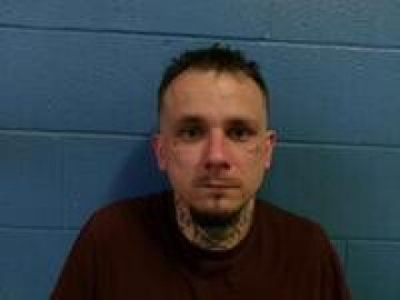 Mugshot of TREVOR D LUNG