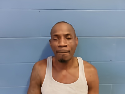 Mugshot of MICHAEL T NESBY
