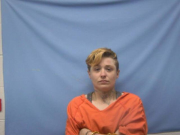Mugshot of APRIL LYNN SANDERS