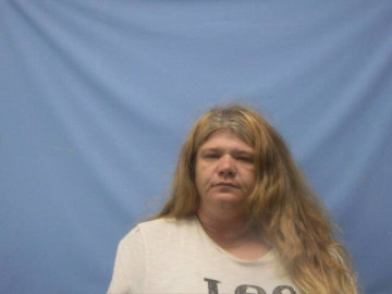 Mugshot of LISA RENEA HARRIS