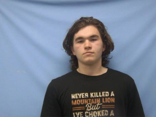 Mugshot of GAVYN GENE MCKIBBIN