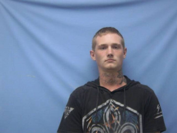 Mugshot of TRAVIS WADE PITTS
