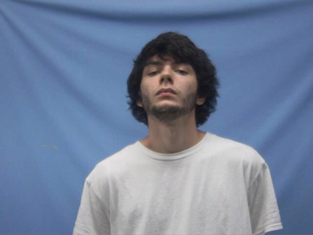Mugshot of WILLIAM VAN ANDERSON