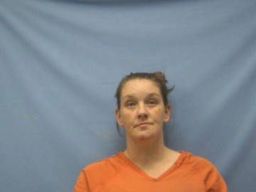 Mugshot of SORINA MICHELLE THIEN