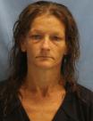 Mugshot of ERIN GREEN