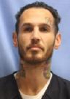Mugshot of MICHAEL LUNA