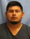 Mugshot of LUIS REYES