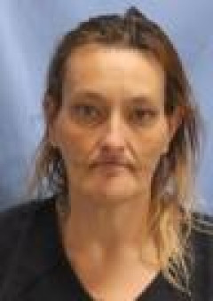Mugshot of ELIZABETH A HUNT