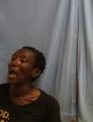 Mugshot of ROBIN ANN THOMPSON