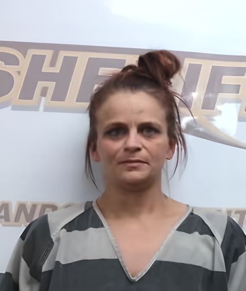 Mugshot of ALI BRADFORD