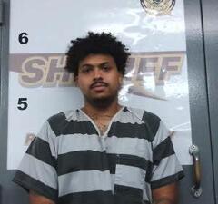 Mugshot of LIONAL CORNISH