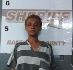 Mugshot of CHEYENNE PARKER