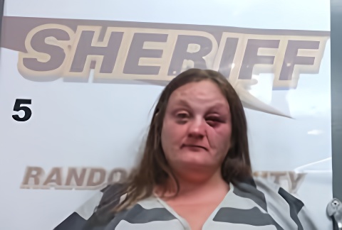 Mugshot of AMBER HAMPTON