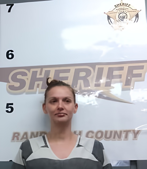 Mugshot of MICHELLE TURNER