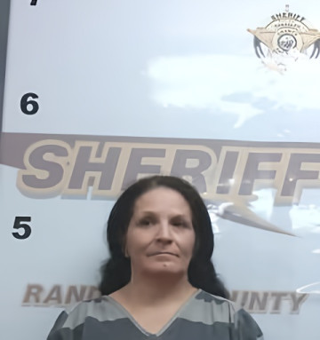 Mugshot of BRANDIE WILSON