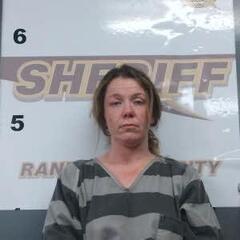 Mugshot of JILLIAN ELLIS
