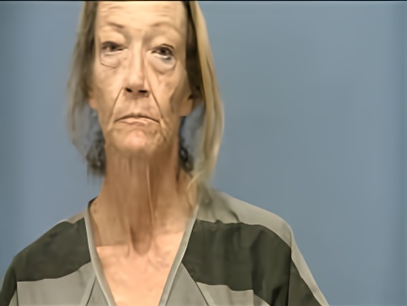 Mugshot of KAREN SERWATKA