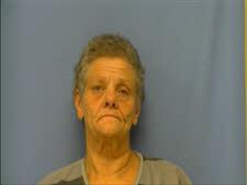 Mugshot of BRENDA DROGSVOLD