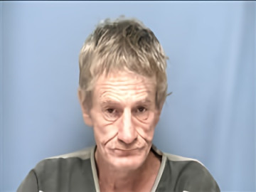 Mugshot of STEVEN WHEELER