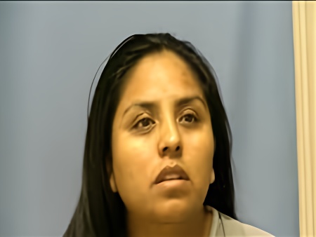 Mugshot of VANESA SOTAR ERAZO
