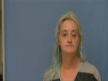 Mugshot of LISA FREEMAN