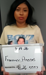 Mugshot of Araceli Francisco