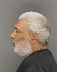 Mugshot of Lee Junior Limon