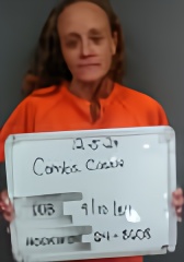 Mugshot of CASSIE ANN COMBS