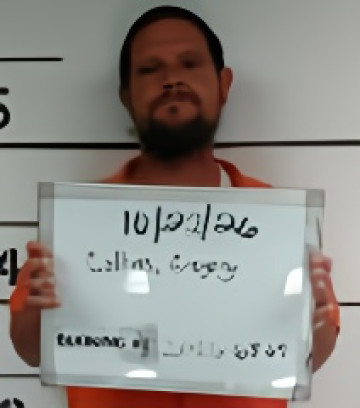 Mugshot of Gregory Todd Junior Collins