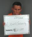Mugshot of Serenity Loveday Lewis