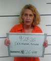 Mugshot of Terriesa Lea Schibbelhut