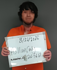 Mugshot of Cody Lee Hollan
