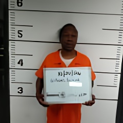 Mugshot of Derrick Lamont Williams