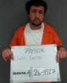Mugshot of Daelyne Saul Chavez