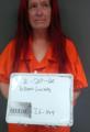 Mugshot of LUCINDY MARIE GILBERT