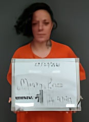 Mugshot of ERICA LEE MURPHY