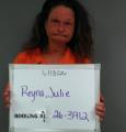 Mugshot of Julie Ann Reyna