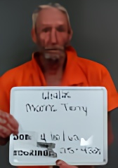 Mugshot of TERRY LYNN MANNS