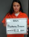 Mugshot of BREANNA ELAINE BLANKENSHIP