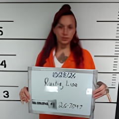Mugshot of Lisa Faye Rustin