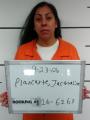 Mugshot of Jacqualine Camile Plancarte