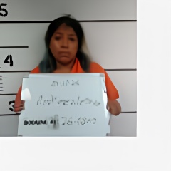 Mugshot of Leslye Suscely Rodriguez