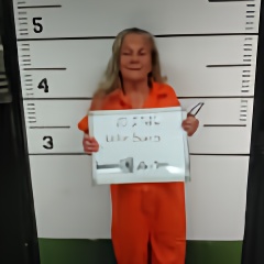 Mugshot of BEVERLY ANN NOLEN