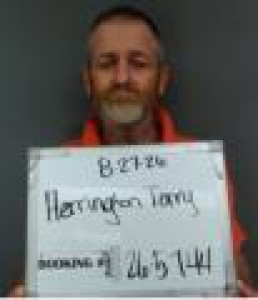 Mugshot of TERRY LYNN HERRINGTON